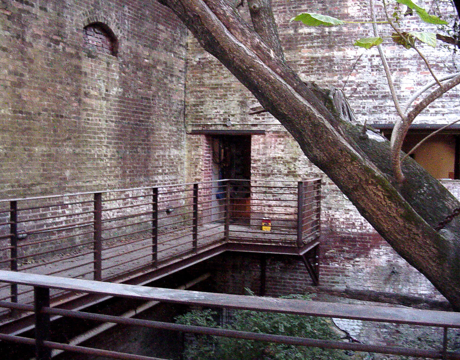 John d'Azzo Athens, GA 2005